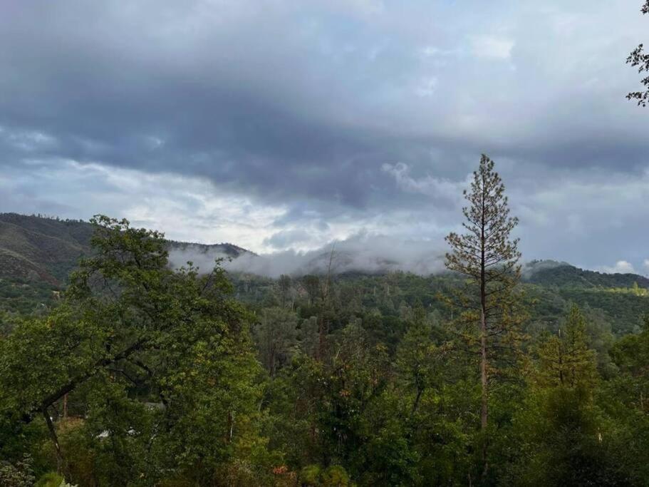 Yosemite'S Scenic Hideaway Villa Midpines Luaran gambar